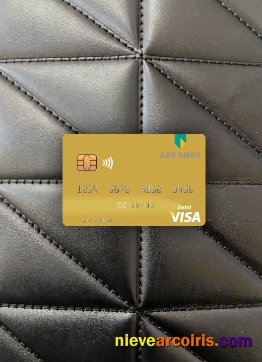 Netherlands ABN AMRO Bank visa debit card photolook